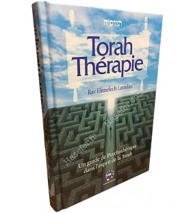 Torah Thérapie - Un guide de Psychothérapie dans l'esprit de la Torah